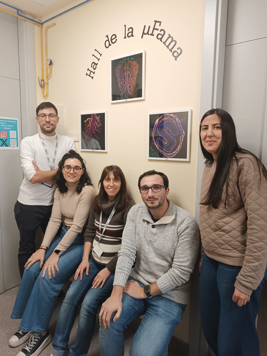 SMOA_CBM's tweet photo. Os presentamos los ganadores del 2o Concurso de Imagen SMOA2024 / Here you have the winners of the 2nd SMOA2024 image contest.  ¡Gracias a tod@s por participar! / Thank you all for your participation!  #Microscopy #Microscopia @CBMSO_CSIC_UAM  #FluorescenceFriday https://t.co/21M95Fv0vZ