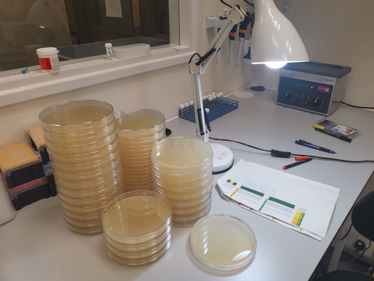 Claudia O. R. tweet media