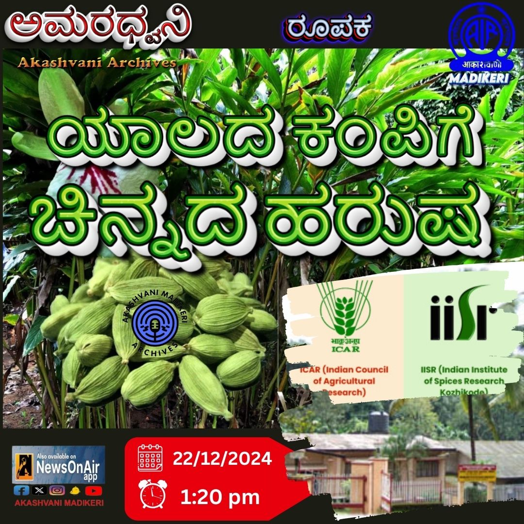 AIRMadikeri's tweet photo. ಆತ್ಮೀಯ ಕೇಳುಗರೇ, ನಮ್ಮ ಧ್ವನಿಮುದ್ರಣ ಭಂಡಾರದ ಕಾರ್ಯಕ್ರಮ ಅಮರಧ್ವನಿಯಲ್ಲಿ ಕೇಳಿ ರೂಪಕ,
' ಯಾಲದ ಕಂಪಿಗೆ ಚಿನ್ನದ ಹರುಷ '
ಕೇಳಿ ಭಾನುವಾರ ಮಧ್ಯಾಹ್ನ 1:20 ಕ್ಕೆ.
#cardamon @icarindia @icarindia @iisrappangal https://t.co/lqIVCJe2VH