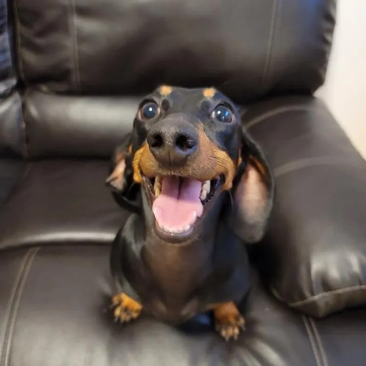 Um sorriso pro seu dia começar bem