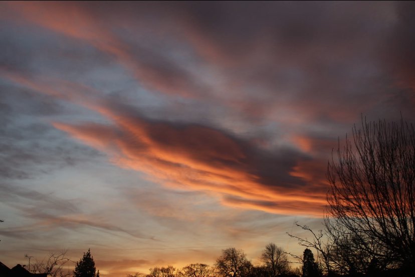 Problem Child tweet media