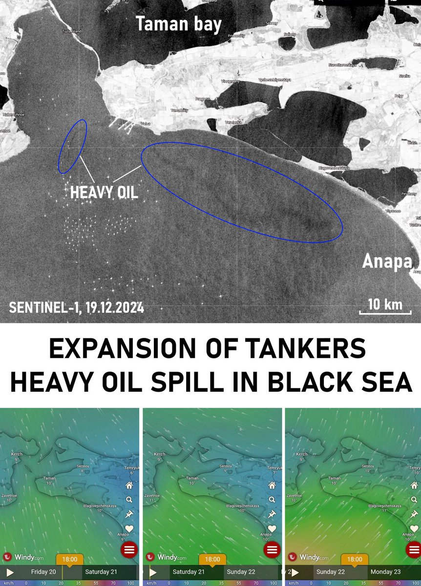 gtt_peresborka's tweet photo. #BlackSea #OilPollution - New #Sentinel-1 Radar Imagery (Dec 19)
Recent radar imagery reveals the continued spread of oil pollution from the wrecked tankers #Volgoneft-212 and Volgoneft-239. Fuel oil leaking near Takil Cape has created a slick extending 8–9 km toward Panagia Cape.
A larger polluted area, estimated at 80 sq km, is visible 5–10 km offshore between Volna and Vityazevo villages, Krasnodar Krai. Wind data from Windy suggests southern winds may drive:
(1) Re-contamination of the Anapa coastline (Volna to Vityazevo), new pollution along the Taman Peninsula, Panagia Cape, and southern Kerch Strait.