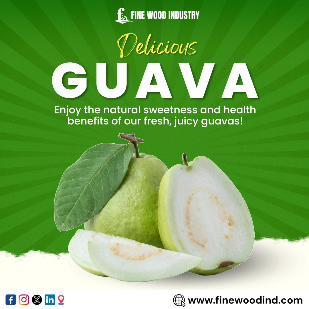 FineWoodInd's tweet photo. Fresh, juicy, and packed with vitamin C, our guavas are the perfect healthy snack! Full of antioxidants, fiber, and natural sweetness, they’re not only delicious but great for boosting your immune system.

Website - https://t.co/AjCaDfs2Vl https://t.co/ATu7PoTWVF