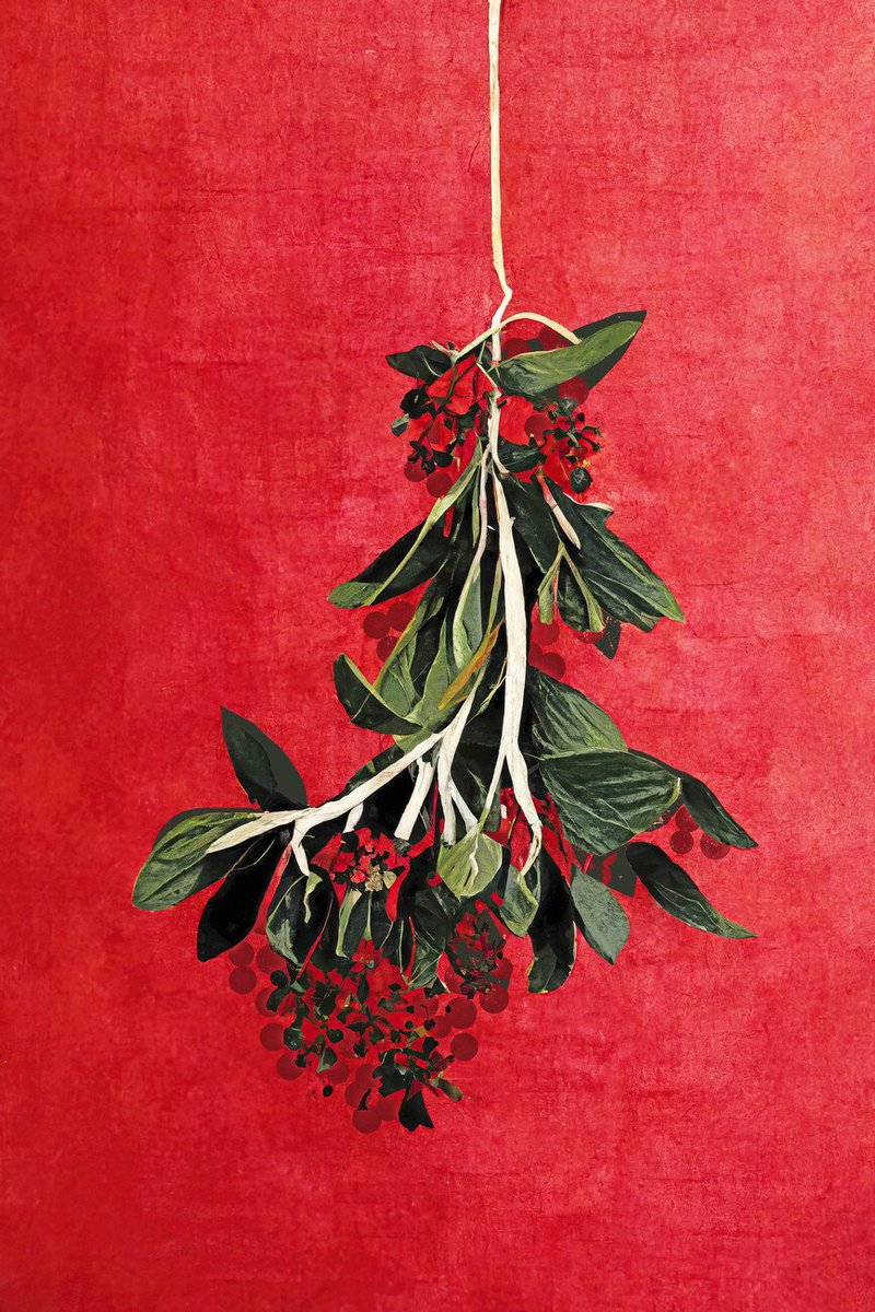 MILFRoyal's tweet photo. A mistletoe? What fortune to stumble upon the goddess underneath one~

❤️ to breed the goddess under the mistletoe~ https://t.co/O0fGc0DQuX