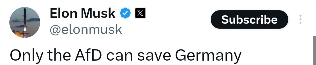 Die Hyänin 🐾 tweet media