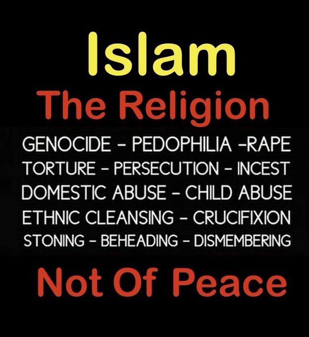 Salwan_Momika1's tweet image. 