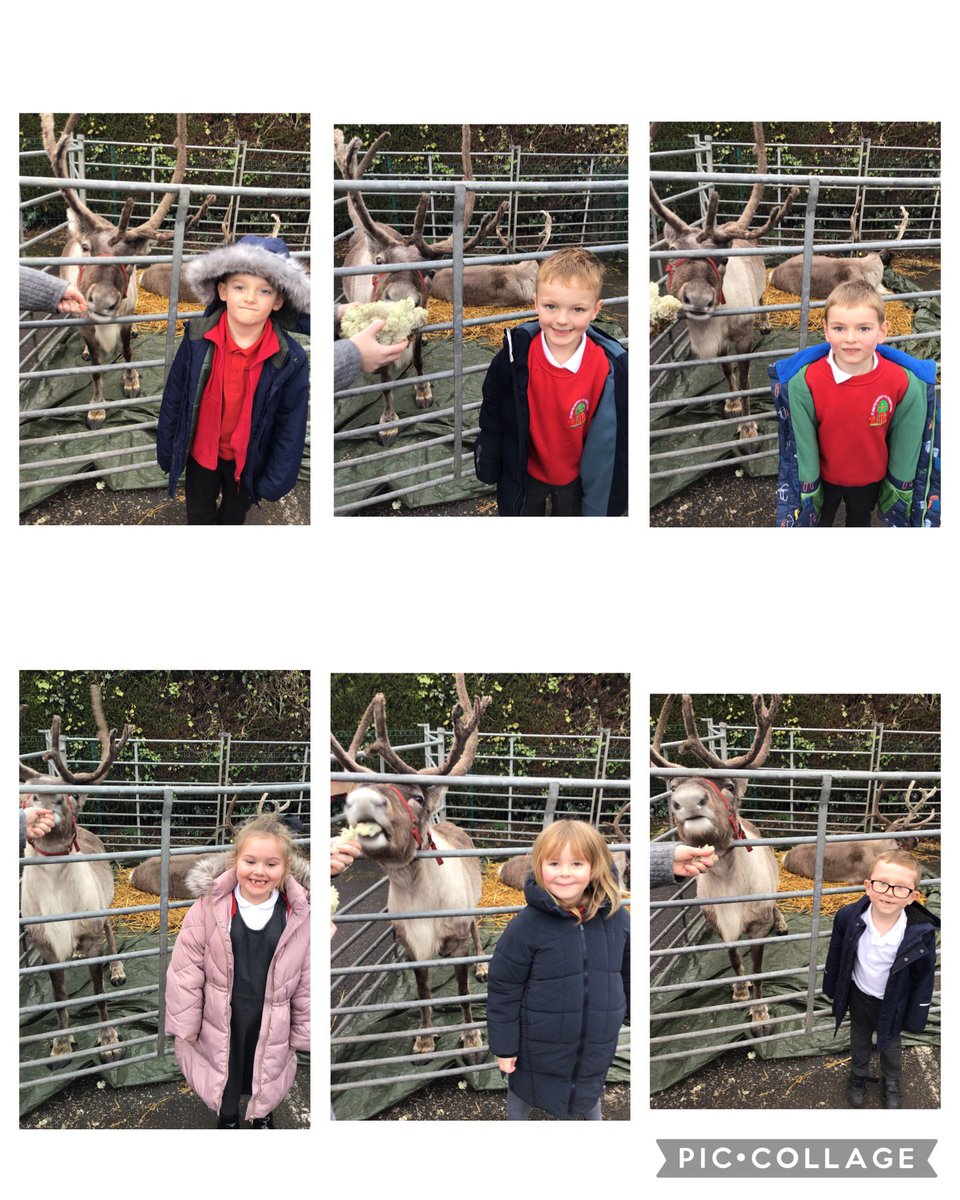 The Chipmunks enjoyed seeing the reindeers 🎄