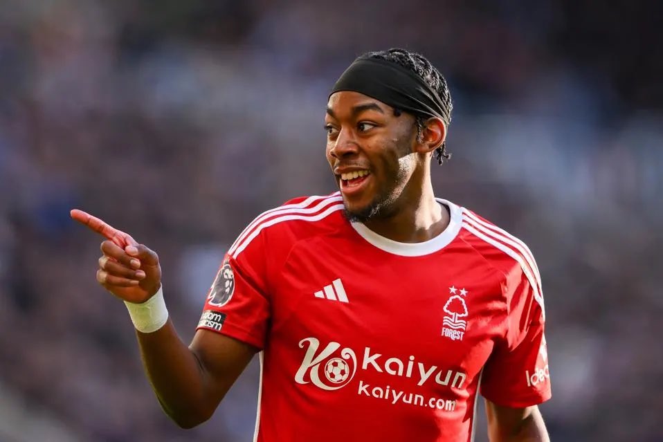 (fan) Frank 🧠🇾🇪 tweet media