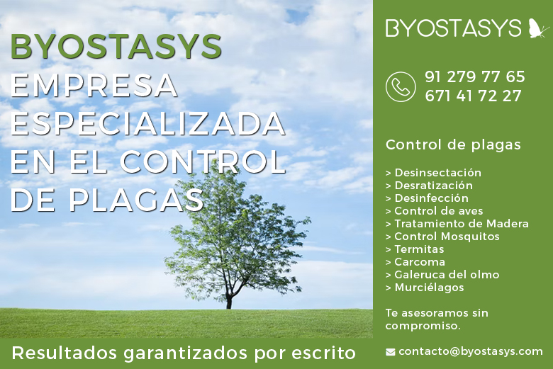 Byostasys's tweet photo. ¿Problemas con plagas? 🕷️🐜🐀
En Byostasys ofrecemos soluciones rápidas y efectivas para mantener tu hogar y negocio libre de plagas. ¡Contáctanos hoy mismo y disfruta de un entorno seguro!
🌐 [https://t.co/S3q7yKNQ9v]
📞 Llámanos al 91 279 77 65 / 671 41 72 27 https://t.co/eW0YfcCuqL