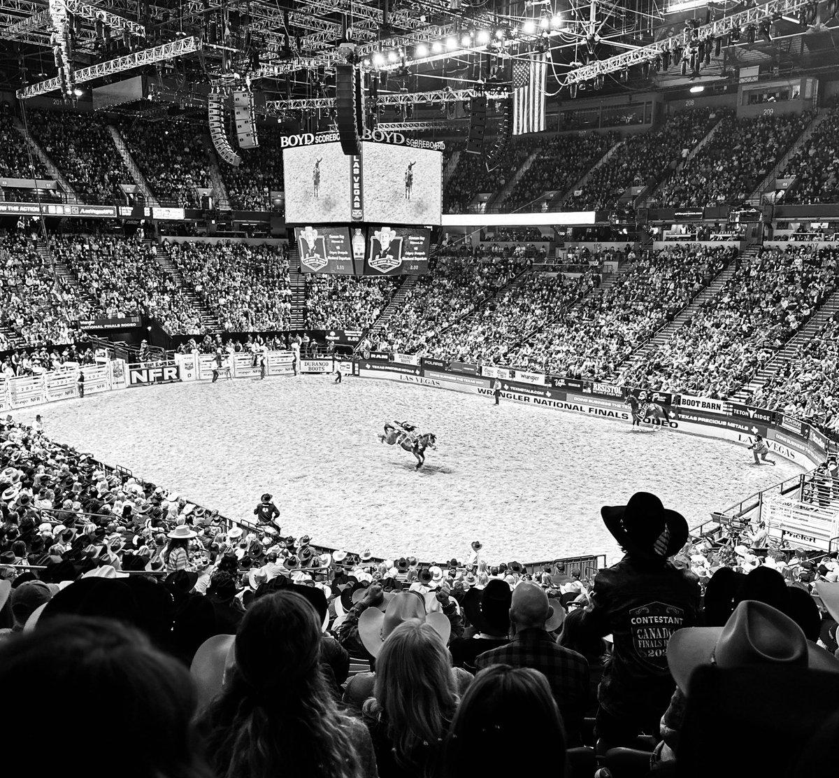 C11Triple's tweet photo. 2024 NFR…. https://t.co/2ecRLtUbAC