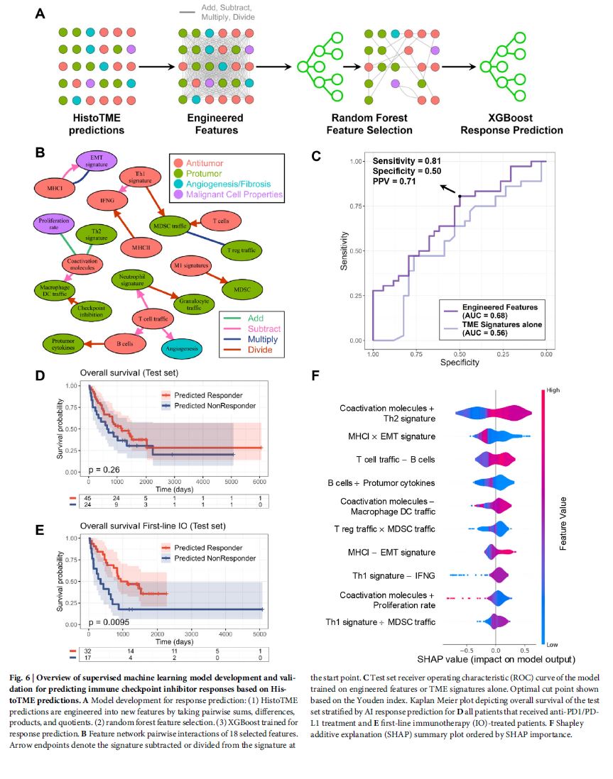 radiolobt's tweet photo. ✨Excited to share our new publication: "Predicting the tumor microenvironment composition and immunotherapy response in non-small cell lung cancer from digital histopathology images"
🎉Congratulations to @spatkar94 and Tamara Jamaspishvili for leading this groundbreaking work, and 👏 kudos to our incredible team for their contributions
💡This study demonstrates how artificial intelligence can advance our understanding of the tumor microenvironment and its role in personalizing cancer treatment.
https://t.co/Sg6bmpPx9g
#TumorMicroenvironment #ArtificialIntelligence #AI #TeamScience