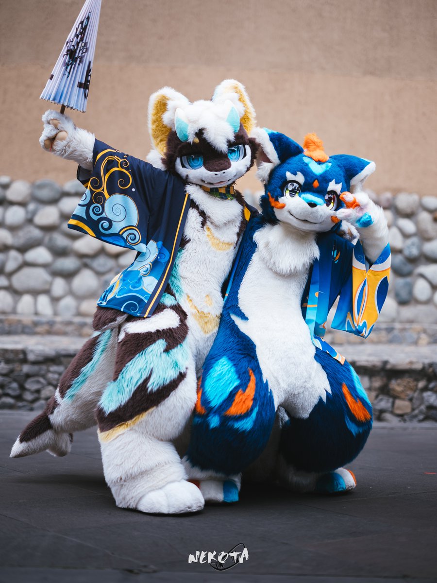 KibiRonn's tweet photo. 看起来像是超稳定的三角形！

 📸：猫太玄玄

#furry #Fursuit #兽装 #牵比绒 https://t.co/FBGCTYQZEW