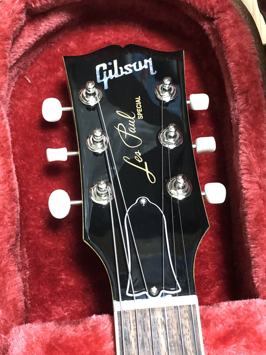 mashashico's tweet image. #gibson130
#マイギブソン

スペシャルは6月に買い、
335は8年目、、！
どちらもとっても大切なギター🥹
335は年始1発目のライブで使います！