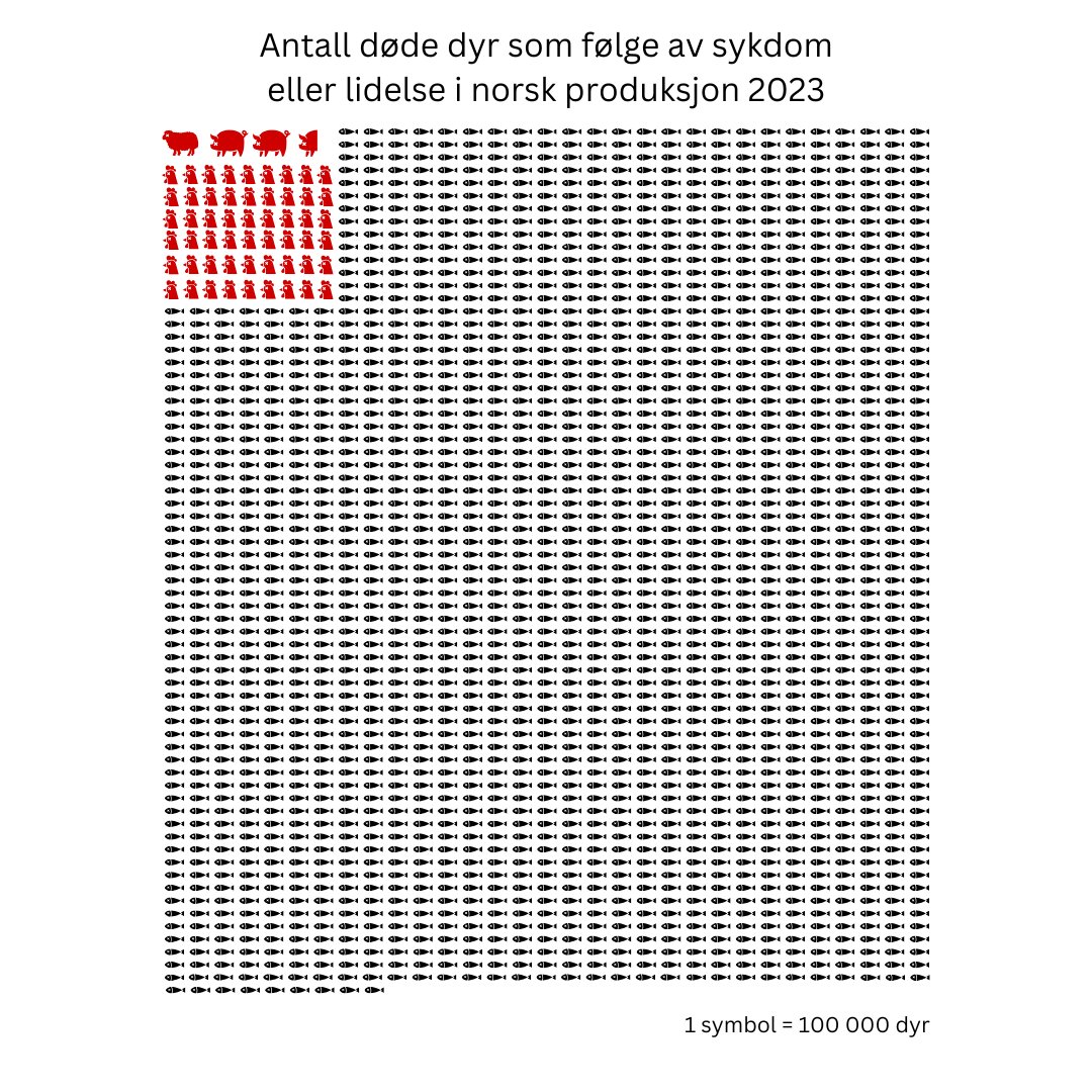 1/ Regjeringen har lagt frem stortingsmelding om dyrevelferd, med forslag om å forby privat reptilhold. Men hvor er tiltakene som virkelig trengs?

<a href="/AkselSterri/">Aksel Sterri</a> og jeg har skrevet <a href="/Langsikt_/">Langsikt</a> -notat om den virkelige dyrevelferdskrisen: lakseoppdrett.

langsikt.no/publikasjoner/…