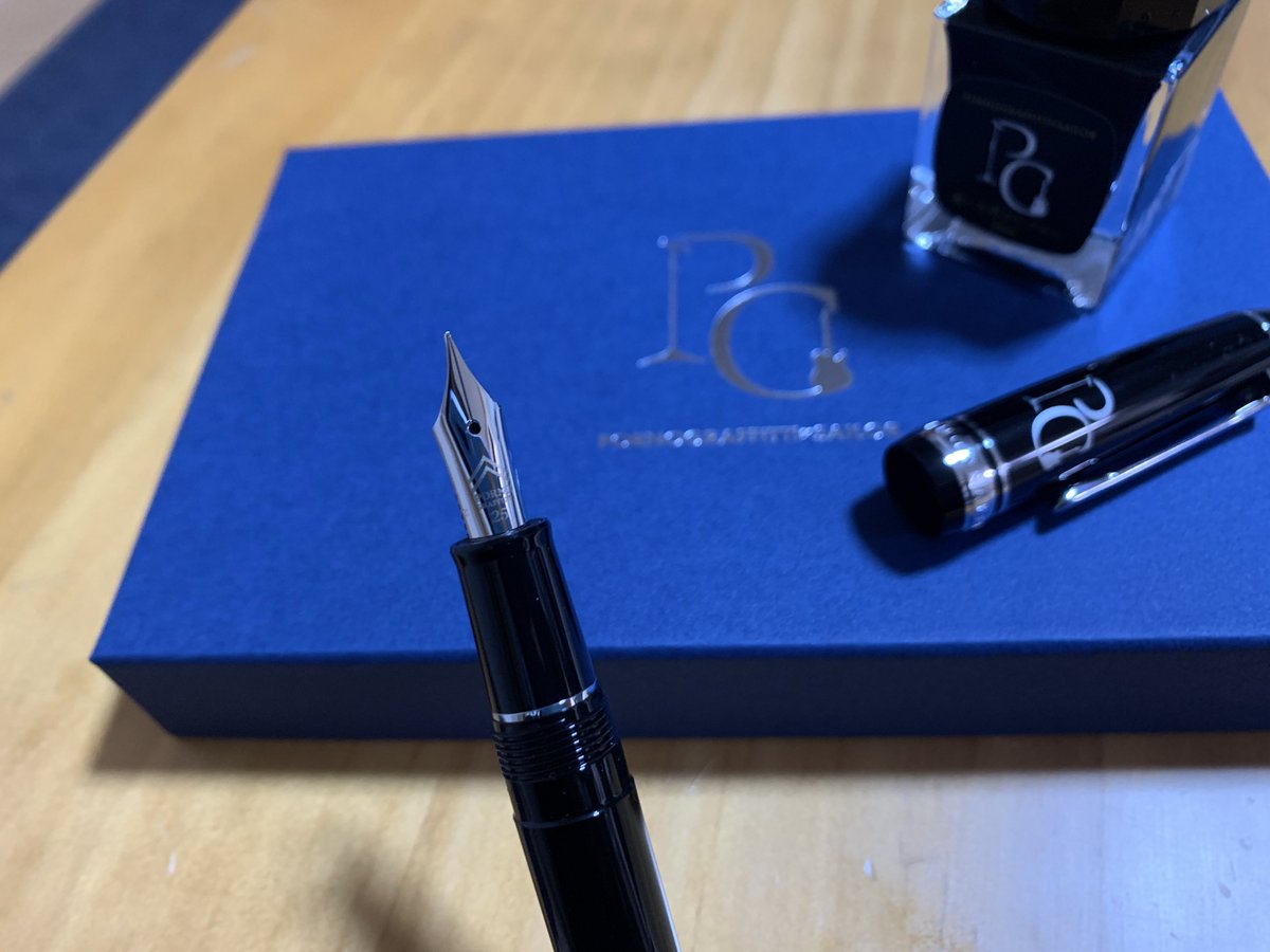 け*ぽ様 限定品 ポルノグラフィティ 25周年 SAILOR 万年筆 シルバー