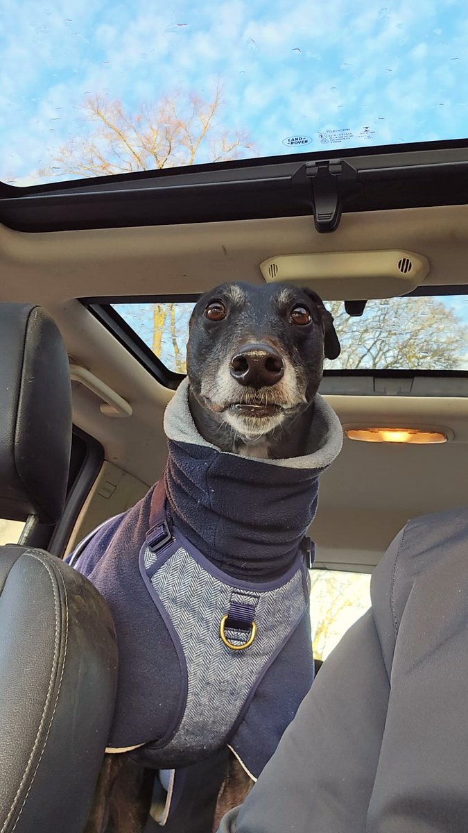 Weatherwax tweet media