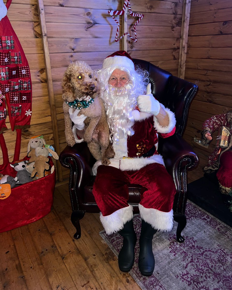 I took my dog to see Santa🎅🏼