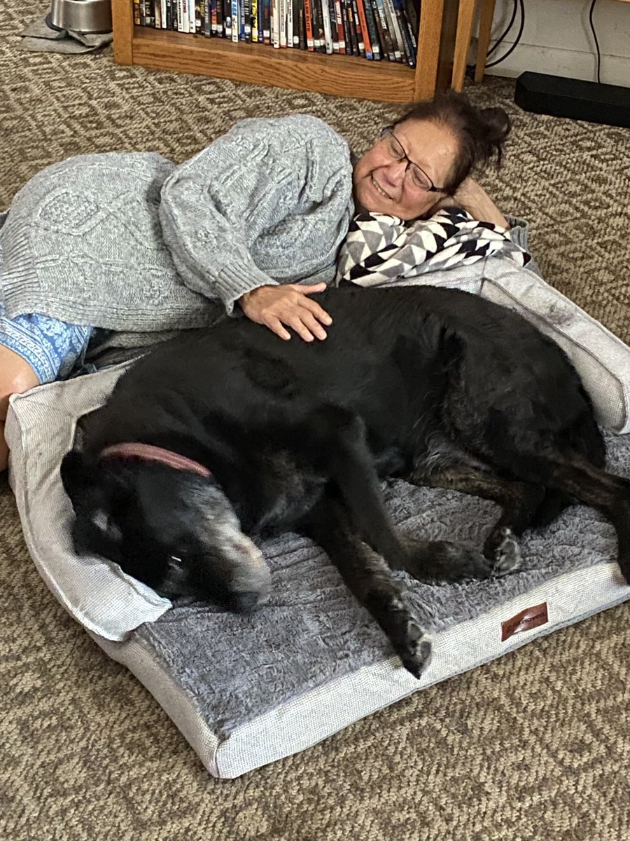 FallenAngel3493's tweet image. It’s sad to say that my girl, Grace, had to leave us yesterday. She was a great dog and I wish I had more time, but there was nothing else I could have done for her. Normally I don’t post personal stuff like this but this hit harder than I could’ve imagined.