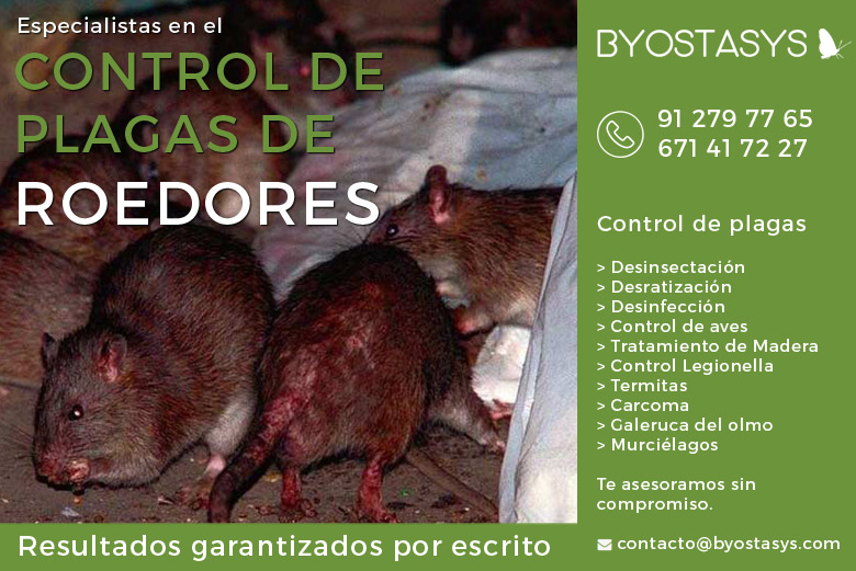 Byostasys's tweet photo. Las plagas no descansan y nosotros tampoco. 
🐀🕷️ En Byostasys, somos especialistas en desratización y desinsectación en Madrid. 
Cuéntanos: 
📱 91 279 77 65 / 671 41 72 27
✉️ contacto@byostasys.com
Garantizamos resultados rápidos y seguros. https://t.co/yG89hp1hIM