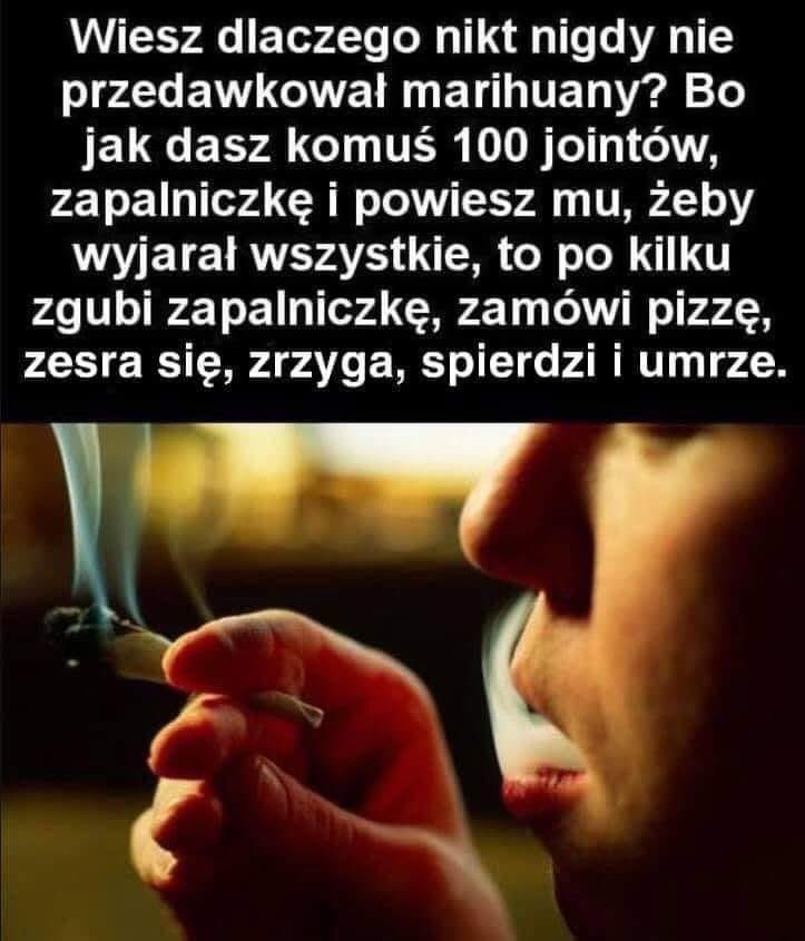 LopSucks's tweet photo. Nie jest to tweet ale tak https://t.co/oNPA380n3m