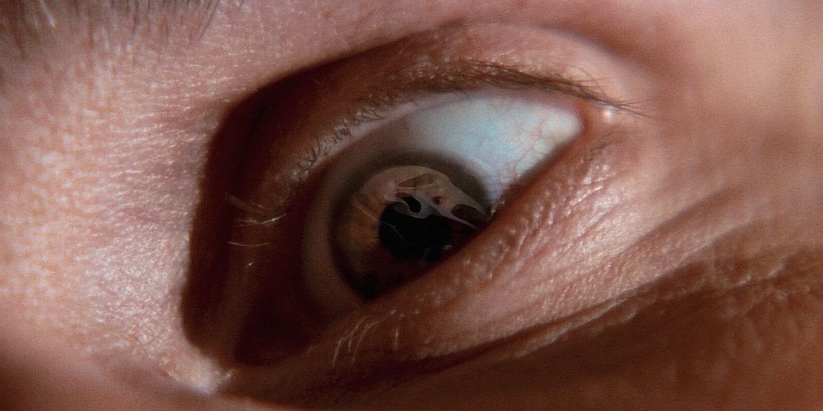 qgscream's tweet image. Há 28 anos, Pânico (1996) era lançado.