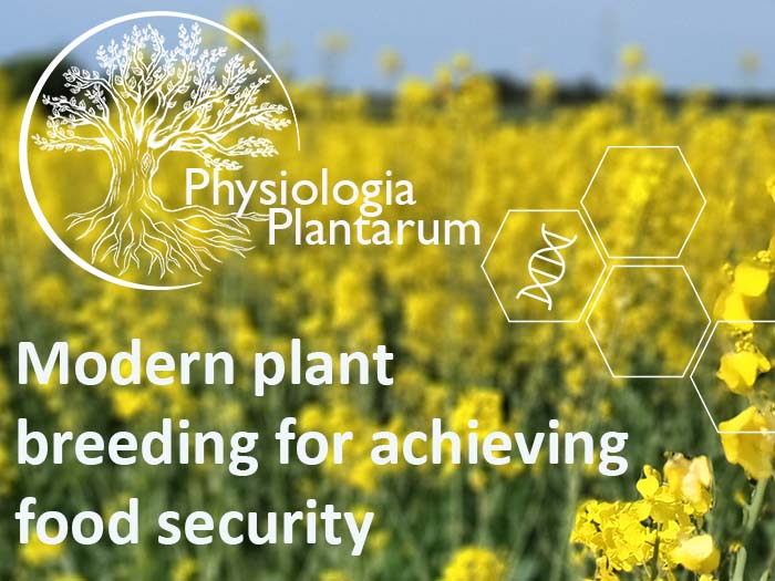 Check our Special Issue highlighting the role of modern plant breeding approaches for developing novel traits in crop plants essential for ensuring food security.
Articles are free to read for 2 months @Wileyplantsci 

ToC bit.ly/4fyTw4N