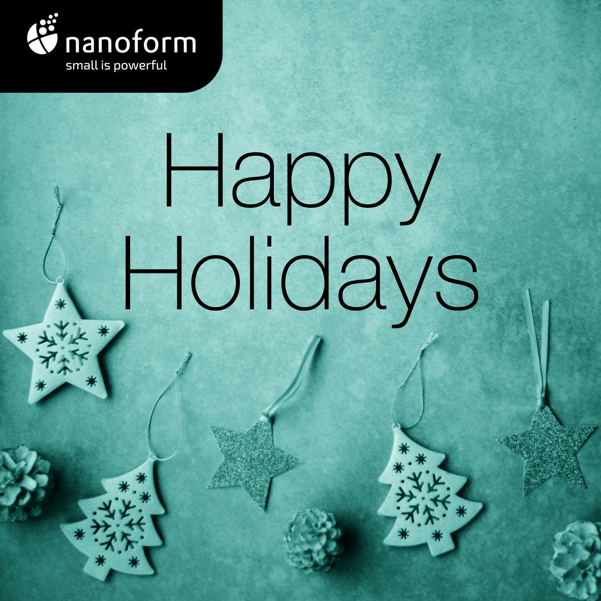 🎄 𝐇𝐚𝐩𝐩𝐲 𝐡𝐨𝐥𝐢𝐝𝐚𝐲𝐬 𝐟𝐫𝐨𝐦 𝐍𝐚𝐧𝐨𝐟𝐨𝐫𝐦! 🎄 

May your holidays be filled with joy, and may the new year bring you health, success, and exciting opportunities!