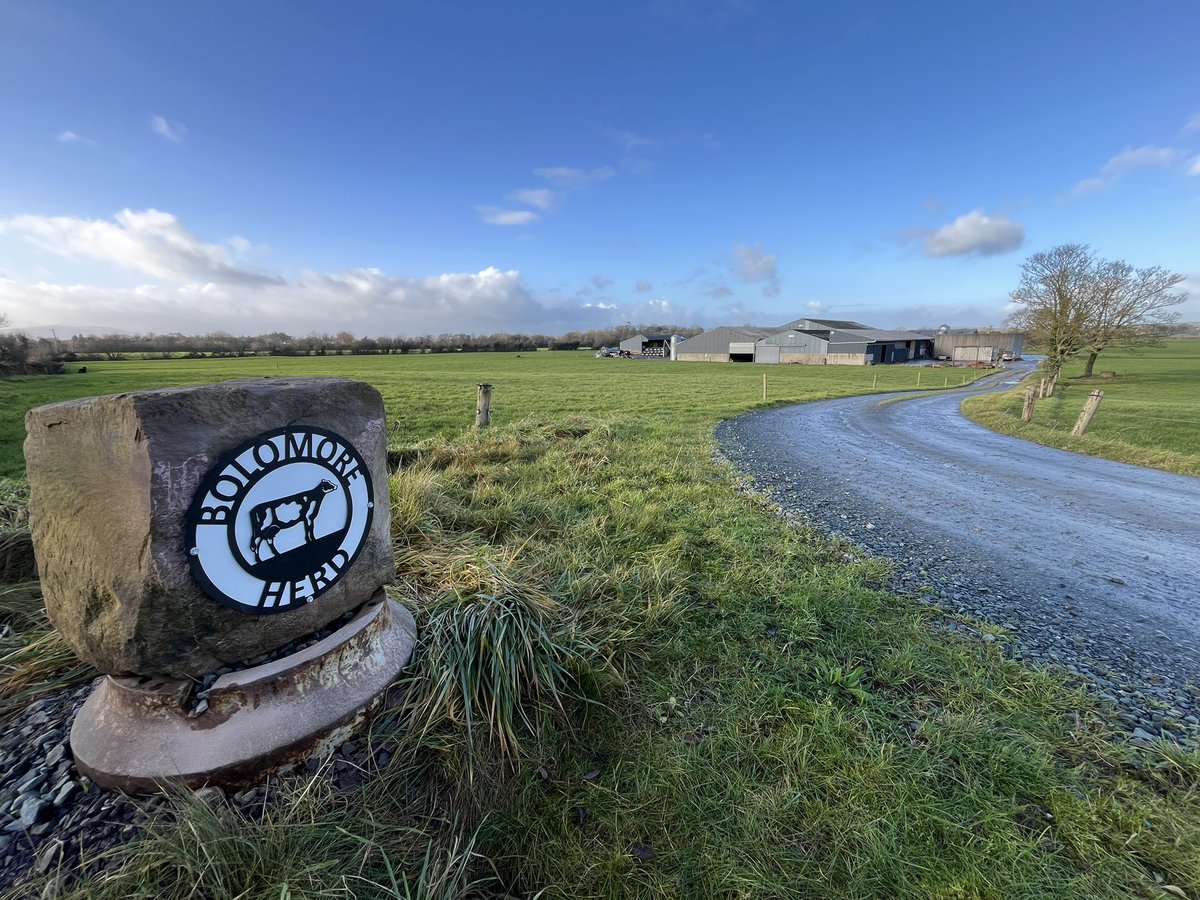 First ever purchase from targeted instagram ads 😂😂