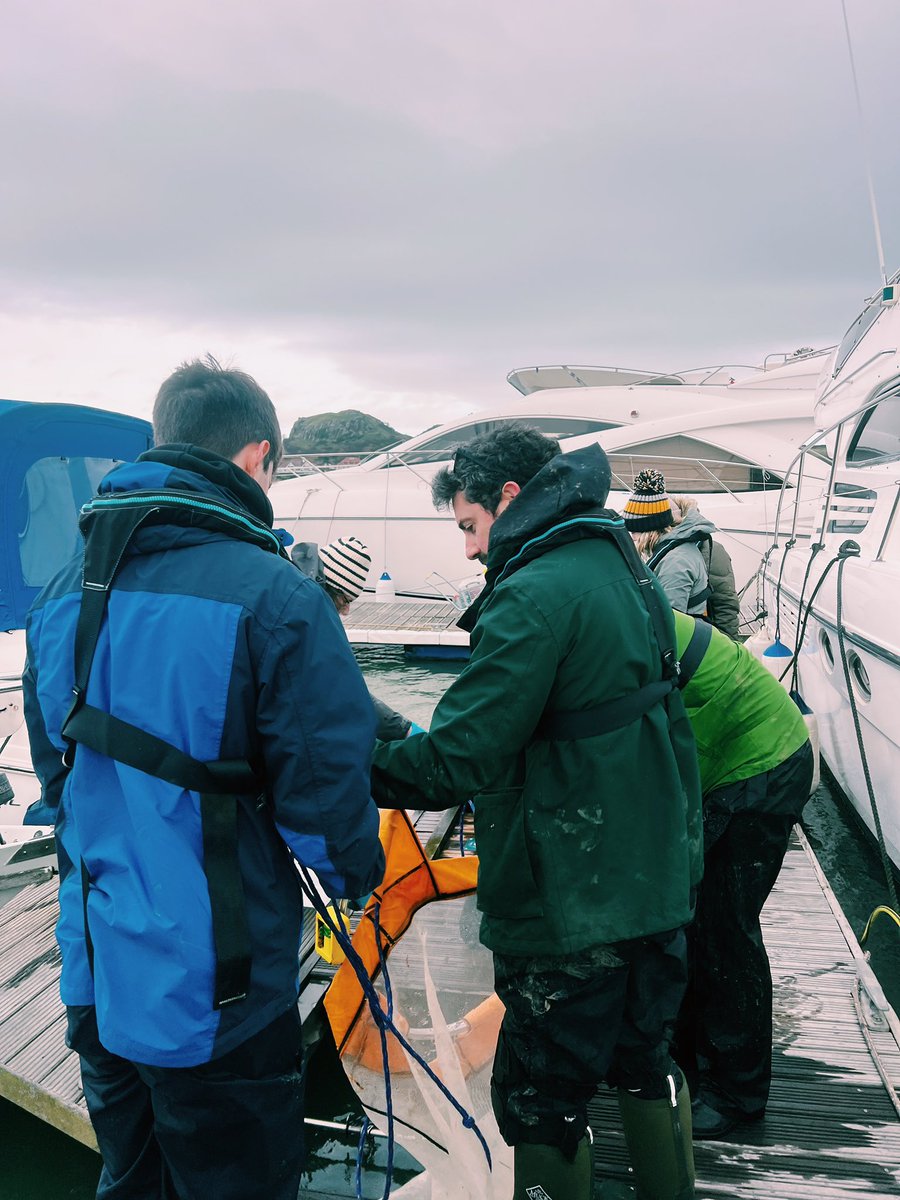 Wild_Oysters's tweet photo. 🎄Best wishes for the holidays from the Wild Oysters team! Thank you to everyone who has helped and taken part in the #WildOysters project this year. We have made fantastic progress and we are looking forward to more #NativeOyster #restoration in the new year! https://t.co/egKDsXlzDb