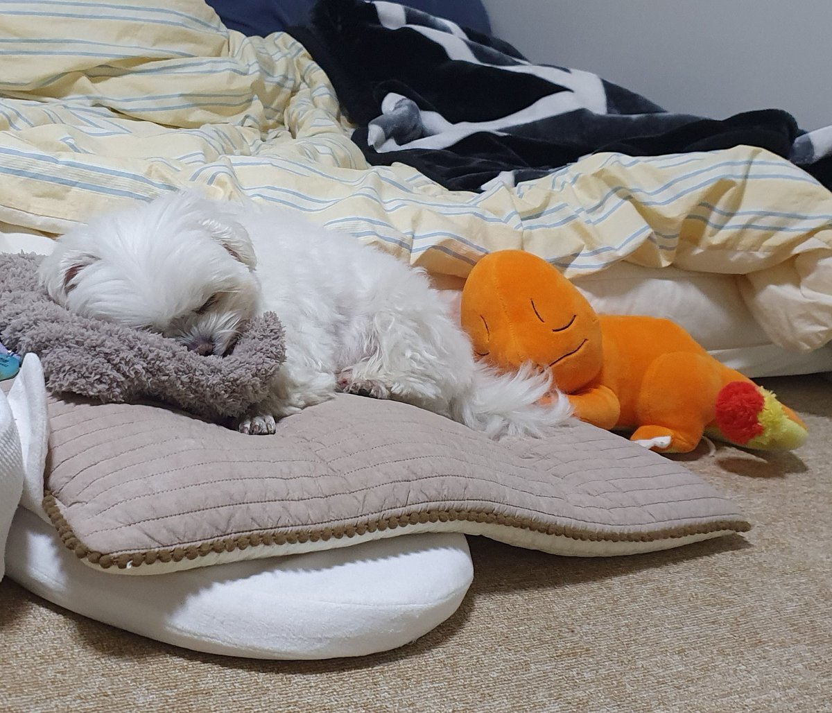 우리는 모두 친구