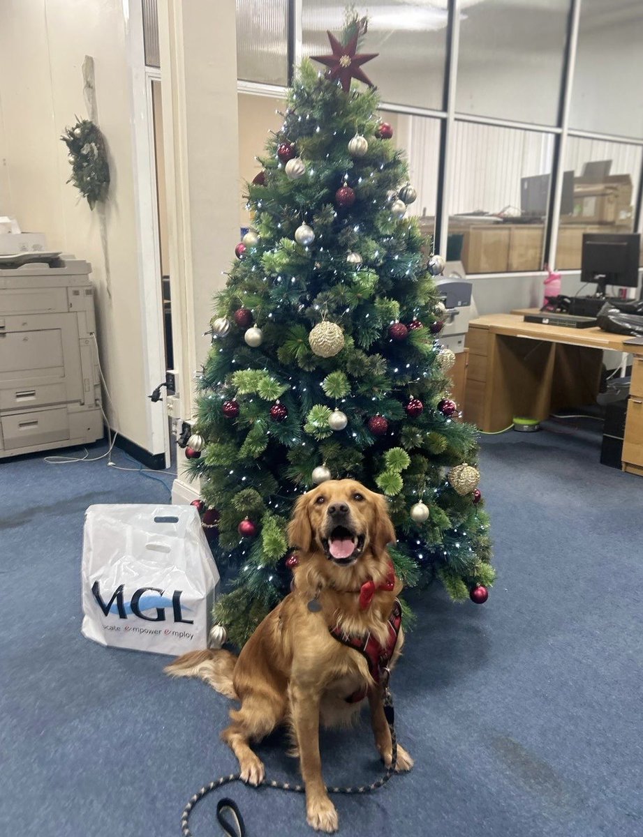 Merry Christmas from everyone at MGL 🎄

We hope everyone has a happy and safe Christmas and New Year 🌟 

#MerryChristmas #Christmas #NewYear
