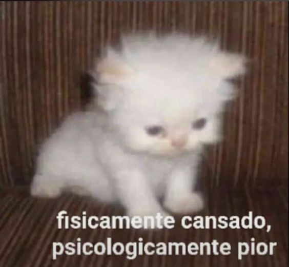 NeumaticEye0's tweet image. Hoy nos levantamos mood, qué venga ya el niño Jesús, Dios mío😬