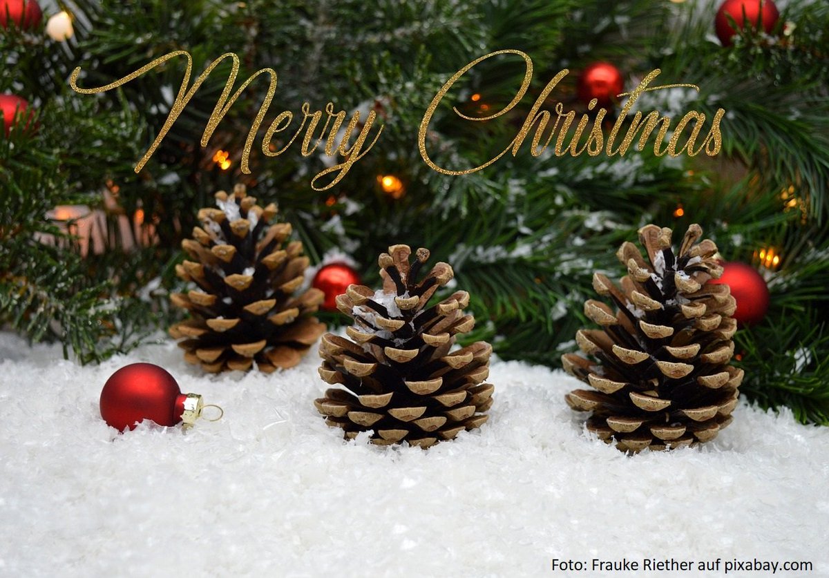 ProLOEWE's tweet image. 🎅🏼ProLOEWE wünscht frohe Weihnachten,🎄erholsame Feiertage&einen großartigen🚀Start ins🆕Jahr!🎉Lasst uns auch 2025 gemeinsam die #Wissenschaft voranbringen&Neues entdecken.Vielen Dank für Eure Unterstützung!✨#FroheWeihnachten #HappyNewYear2025 #LOEWE_Grundlagenforschung #Hessen