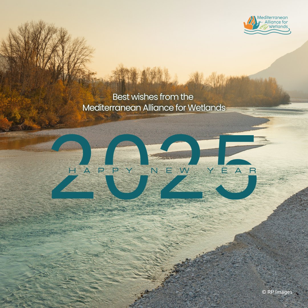 🌟 Happy New Year from the Mediterranean Alliance for Wetlands!

We would like to express our heartfelt gratitude to everyone who has supported and collaborated with us this past year.
Let’s continue working together to safeguard these vital ecosystems.

#WetlandConservation