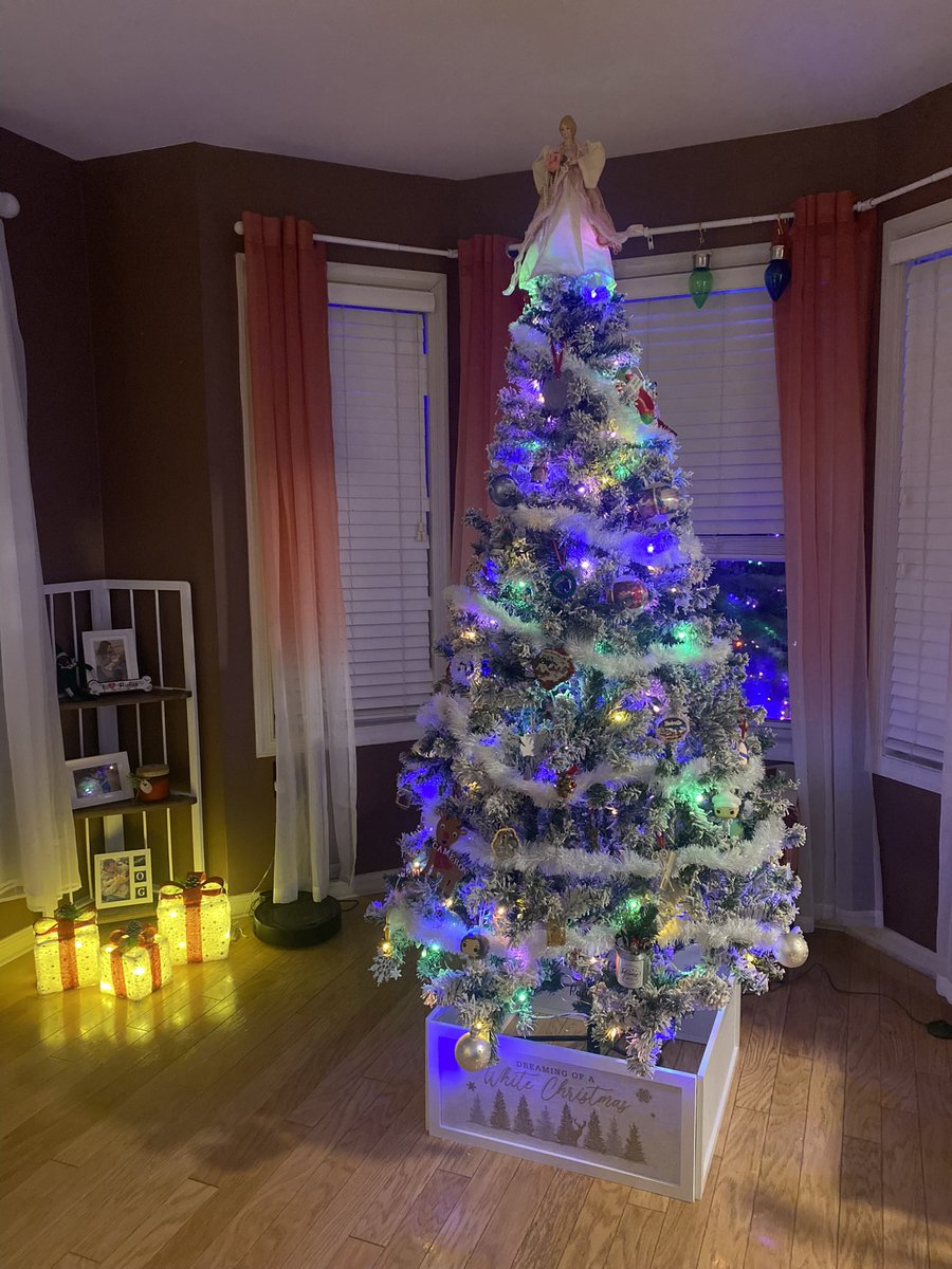 Diana🌹🦋 tweet media