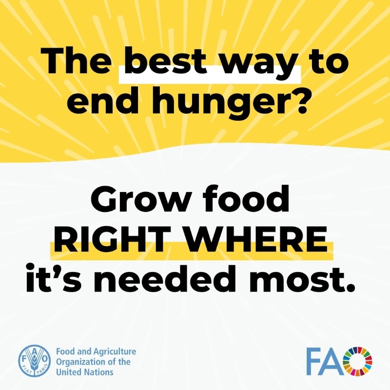 FAO in Emergencies (@faoemergencies) on Twitter photo Emergency agricultural aid is:
1⃣ Humanitarian
2⃣ Cost-effective
3⃣ Strategic
4⃣ Long-lasting
5⃣ Empowering
Investing in agriculture means combating acute hunger, uplifting communities and building more resilient futures.
bit.ly/402vdrN
#InvestInHumanity Emergency agricultural aid is:
1⃣ Humanitarian
2⃣ Cost-effective
3⃣ Strategic
4⃣ Long-lasting
5⃣ Empowering
Investing in agriculture means combating acute hunger, uplifting communities and building more resilient futures.
bit.ly/402vdrN
#InvestInHumanity