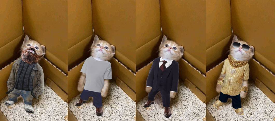 Ozzy_Cat_'s tweet photo. Which $OZZY cat are you today? 🐈✨ https://t.co/yv0tuNjagP