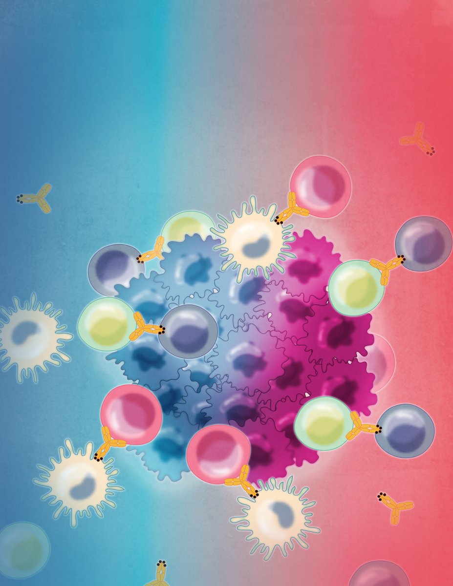 From the December issue: Botensilimab, an Fc-enhanced anti-CTLA-4 antibody, Is Effective Against Tumors Poorly Responsive to Conventional Immunotherapy bit.ly/4gqFUKh

By <a href="/dhanschand/">Dhan Chand</a> and colleagues <a href="/Agenus_Bio/">Agenus</a>