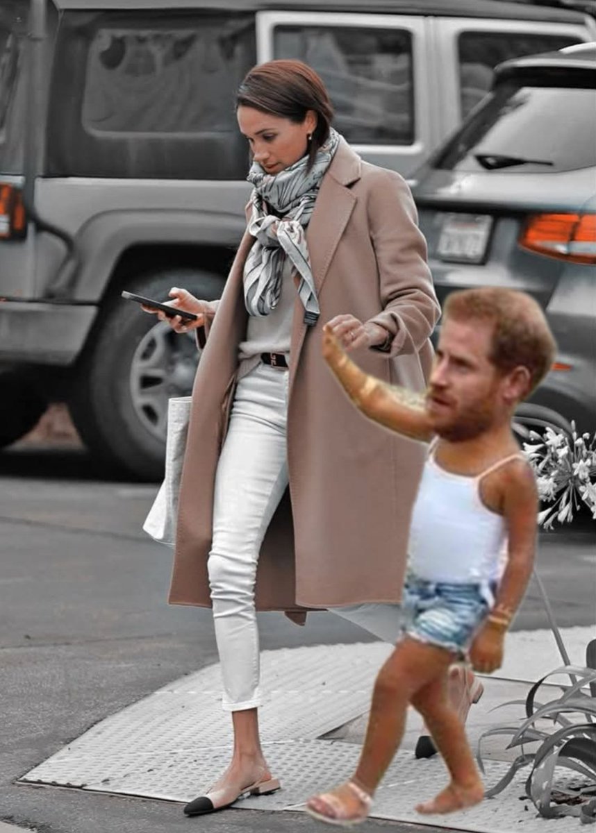 FancFay's tweet photo. @melb_duchess 👇😂😂😂 https://t.co/jNCOiltTU5