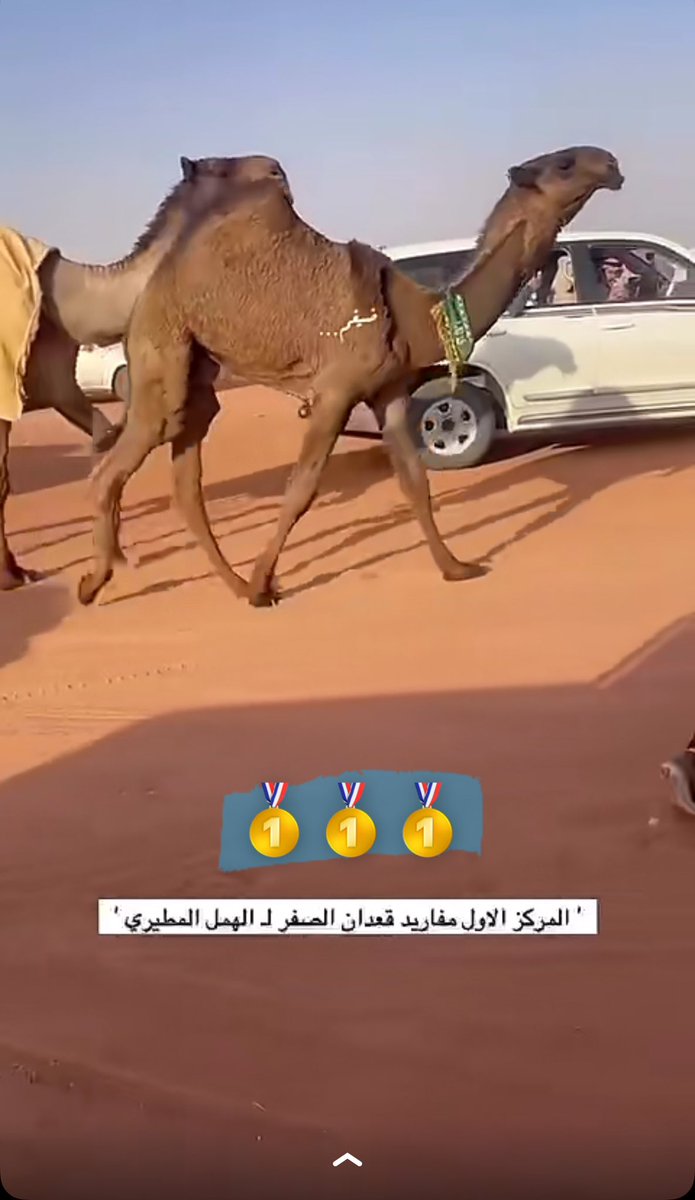  Saud Al-Mutairi tweet media