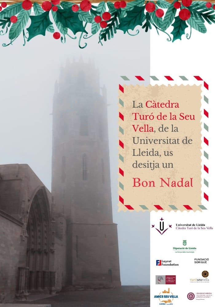 Des de la Càtedra Turó de la Seu Vella us desitgem que passeu unes bones festes! 🌠