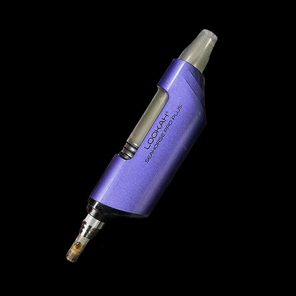 What a night!!!

As the day gets started,

$SEAHORSE Gets going!!

7L6M32mpkewGWj8bHspoX8QDe9pb3b3S1U33KpFvpump