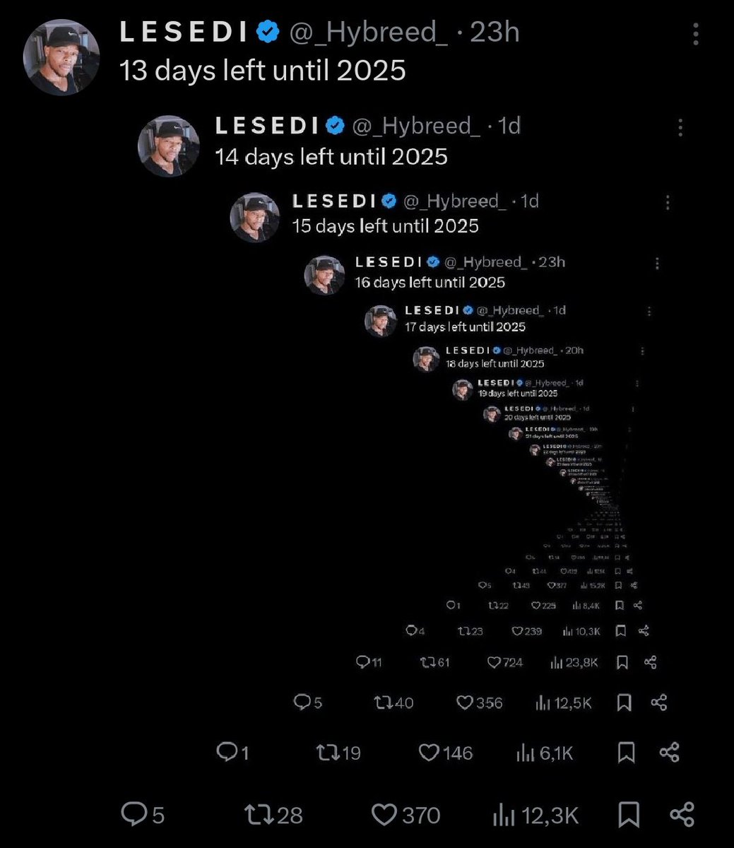 _Hybreed_'s tweet photo. 12 days left until 2025 https://t.co/C2PoqJ1mE8
