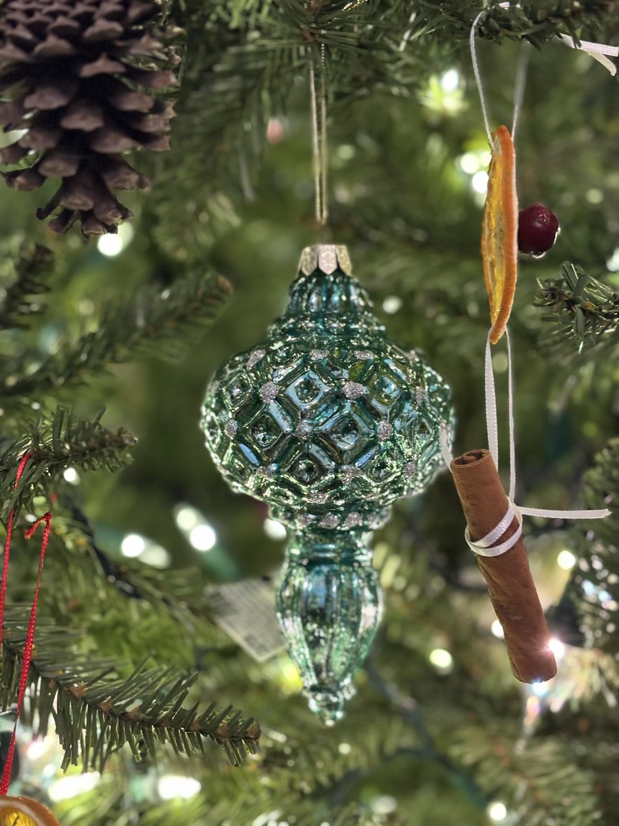 photogrl68's tweet photo. Christmas at Boxwood 
Thanks to Eric &amp; Ellen Aldridge for hosting a community open house in this beautiful BG treasure. https://t.co/RorxBmZN4V