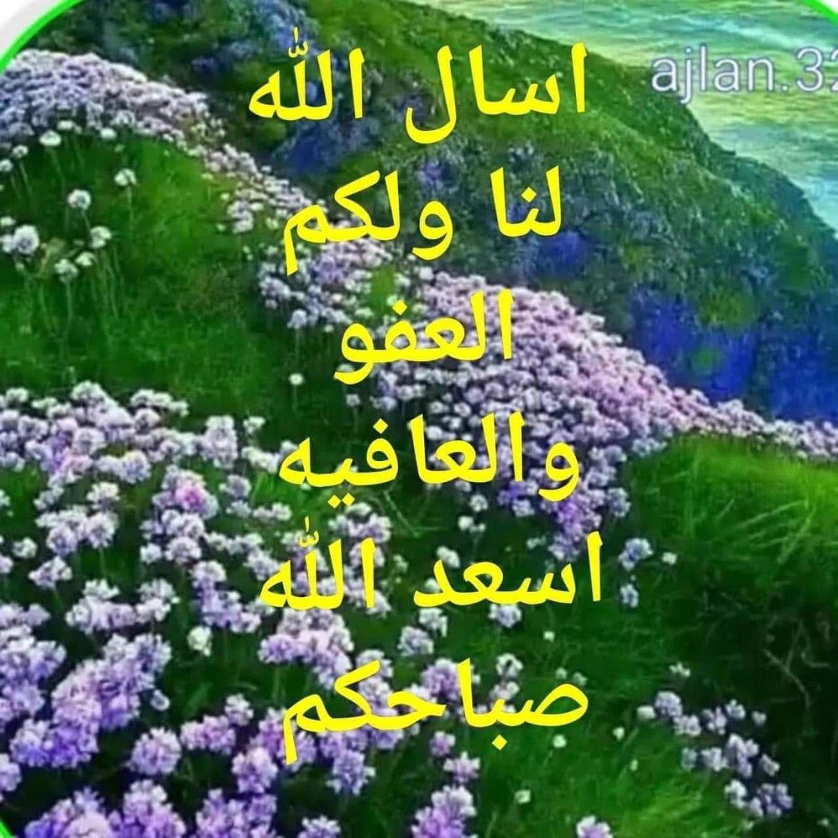 محمد قنانه (@mhmdqnanh) on Twitter photo 
