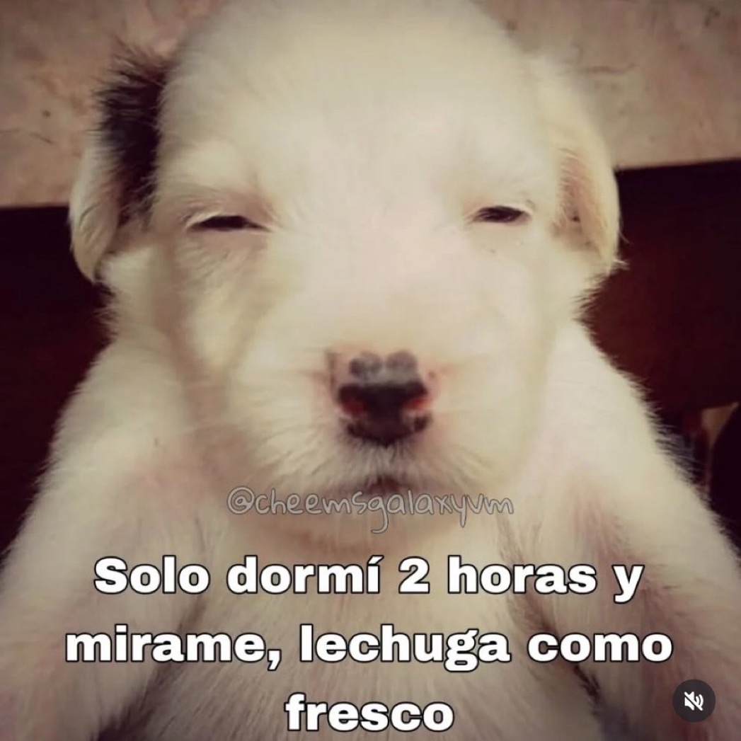 Guarromantico_'s tweet photo. Fresco. https://t.co/SsCEPhQSJe