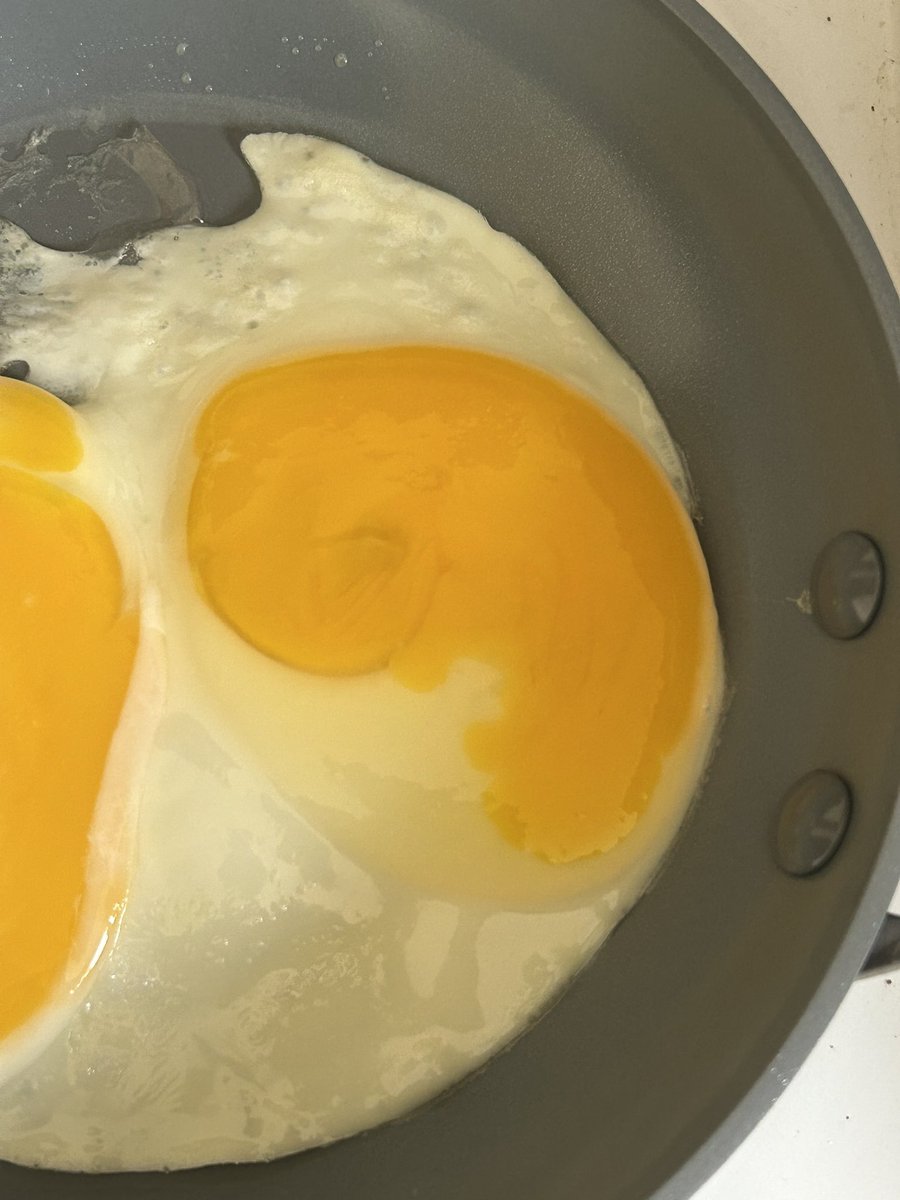 Abby Salvadore tweet media