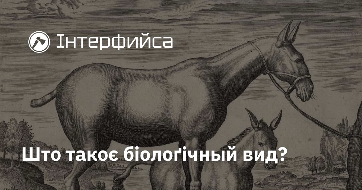 InterFyisa's tweet photo. Што такоє біолоґічный вид?

Розникаєме основні концепції, які ся дниська хоснувут, тай яка у них проблематика.

https://t.co/mNZlNo1hJR https://t.co/zk1F38sZVq