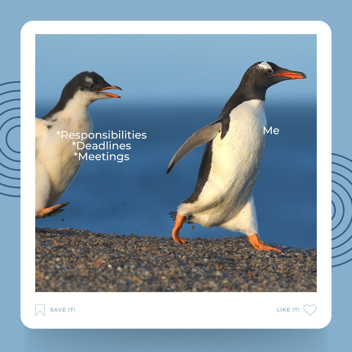 Werbooz Private Limited tweet media