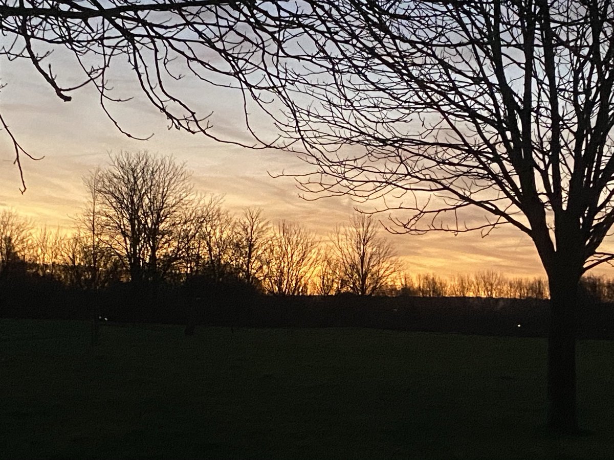 John Baston tweet media